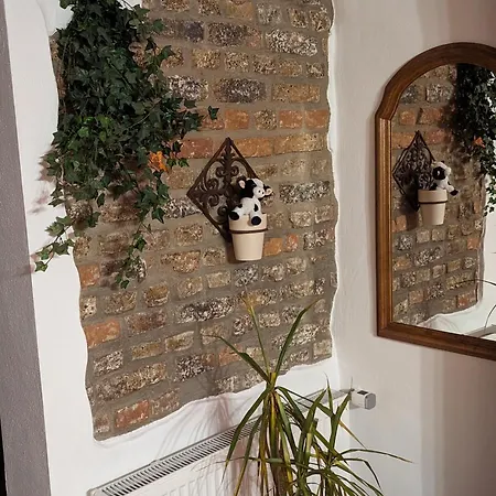 Kuhstall Sinzenich Apartamento Zulpich